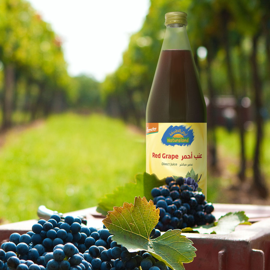Instagram-Post Natureland Traubensaft im Weinberg